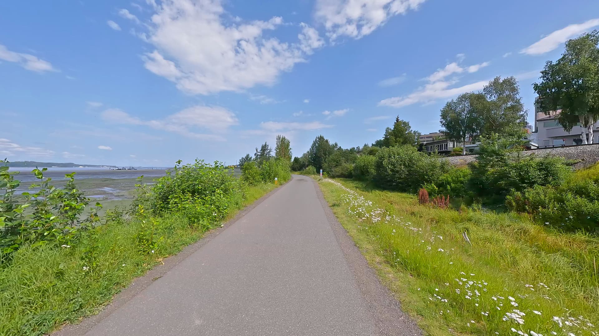 20 min Tony Knowles Coastal Trail Ride