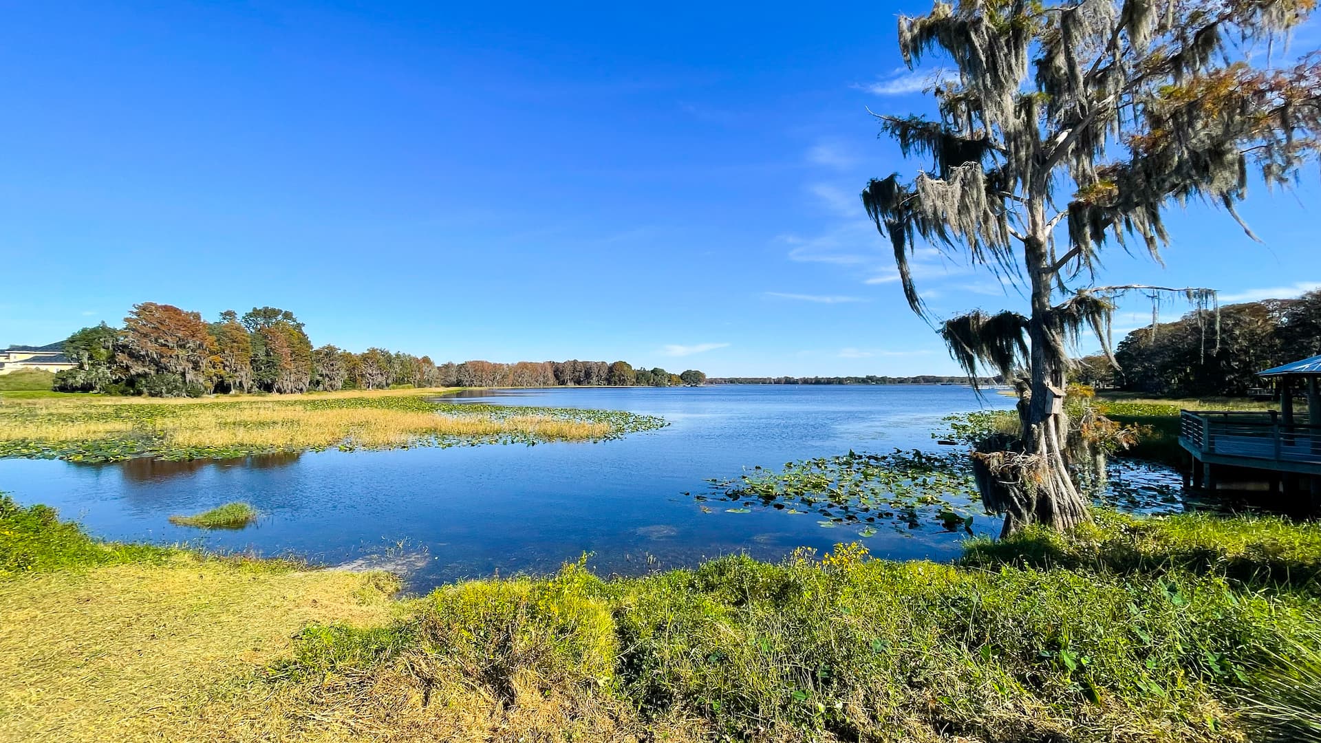 90 min Withlacoochee State Trail Ride