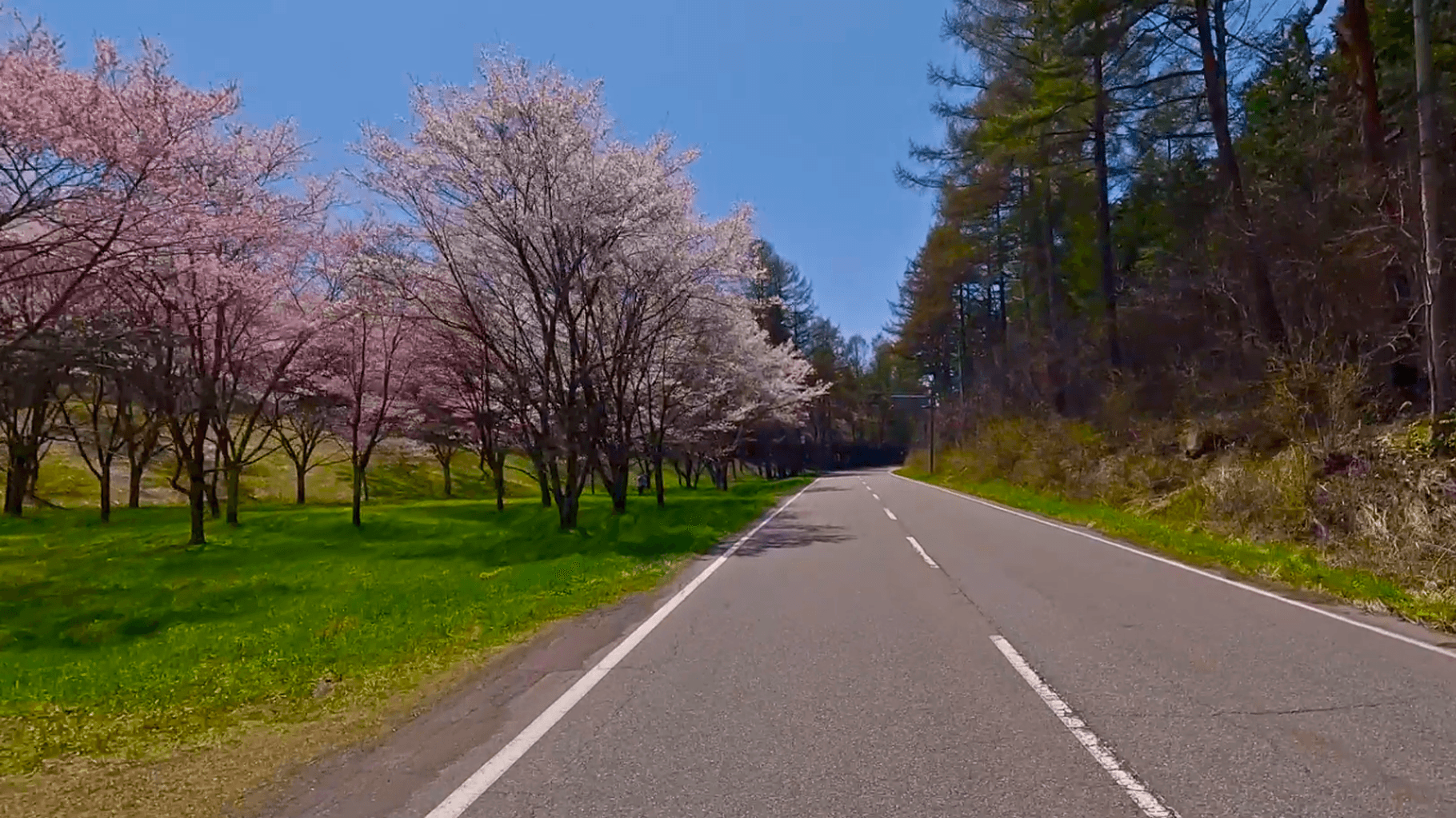 60 min Hakuba Ride