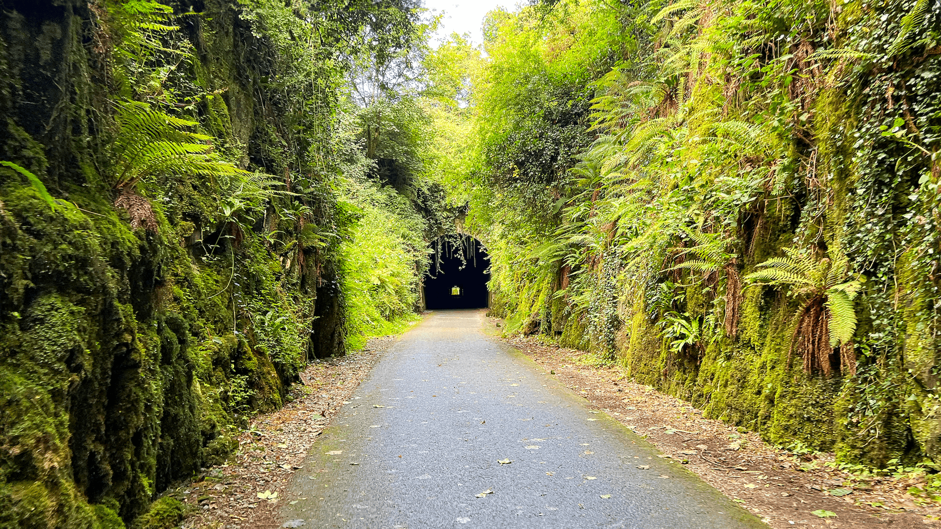 90 min Waterford Greenway Ride