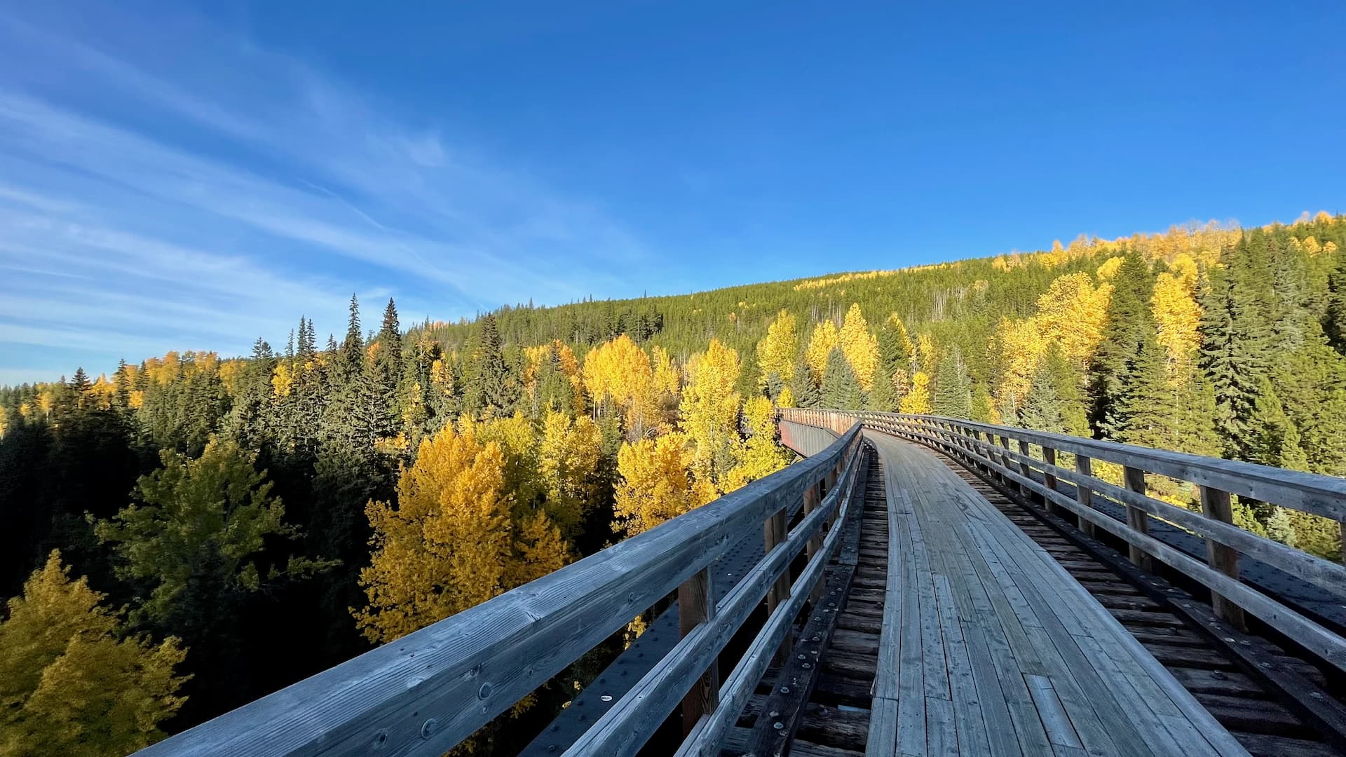90 min Okanagan Valley Ride