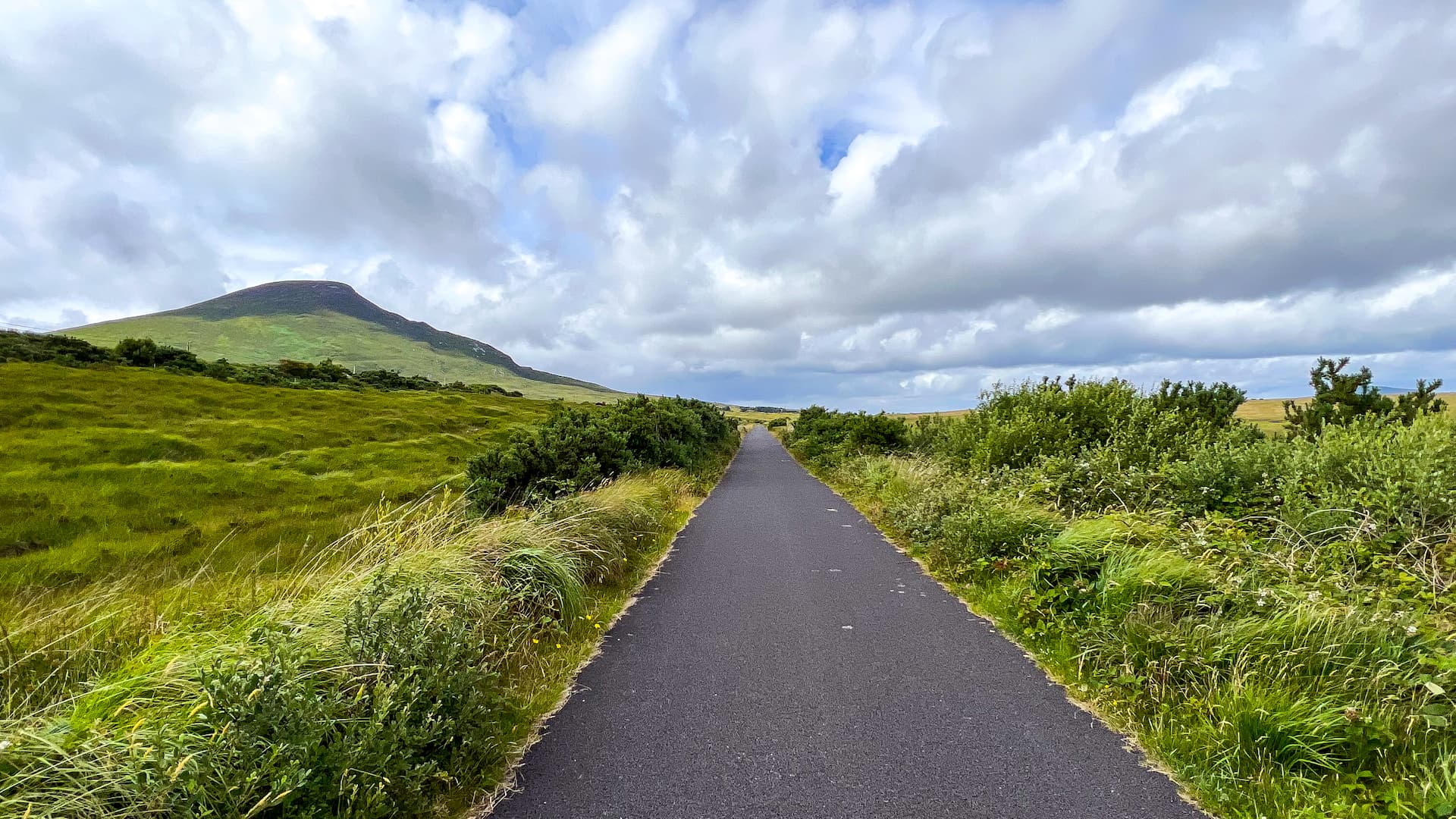 90 min Great Western Greenway Ride