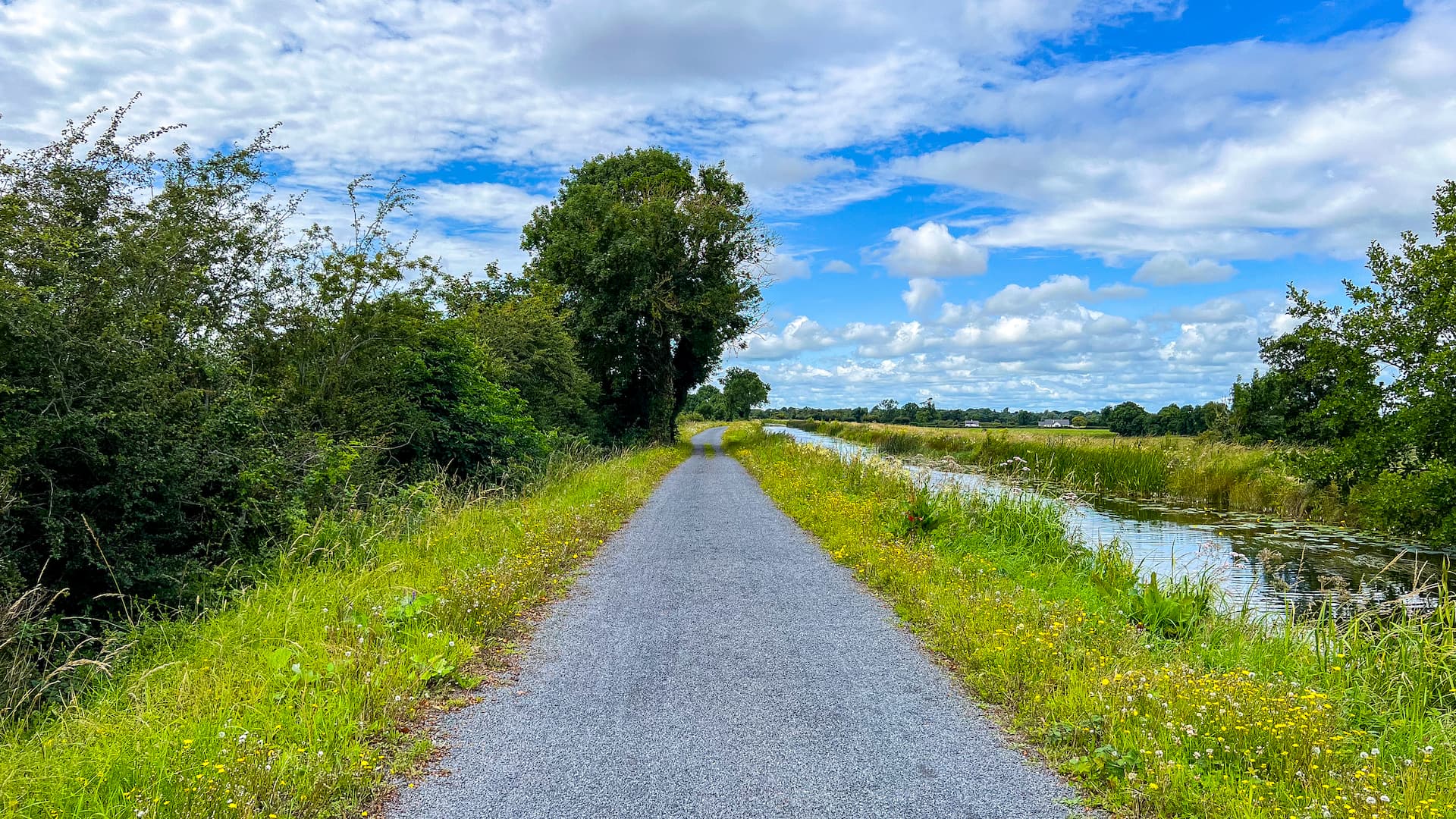90 min Royal Canal Greenway Ride