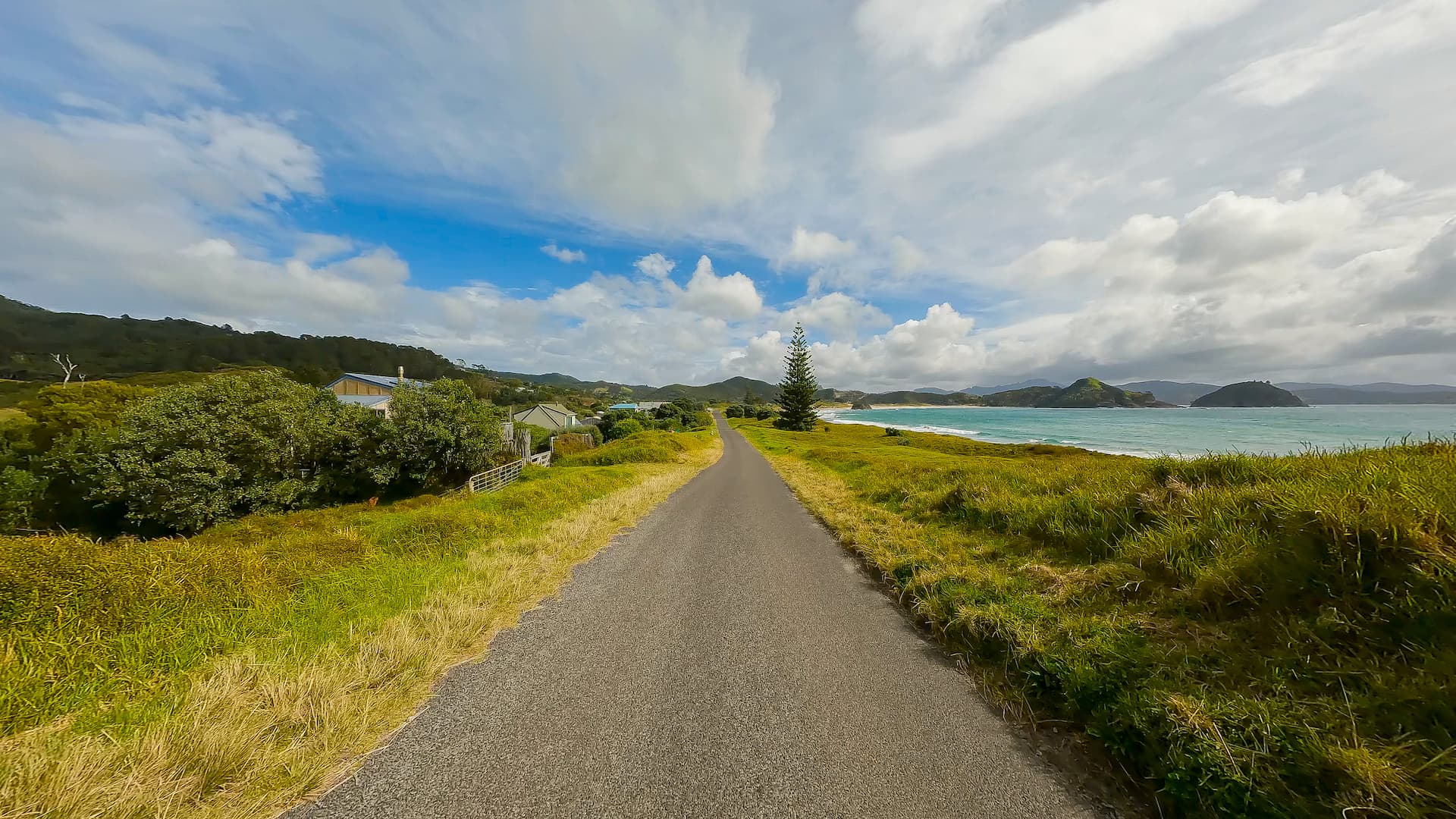 30 min Great Barrier Island Ride