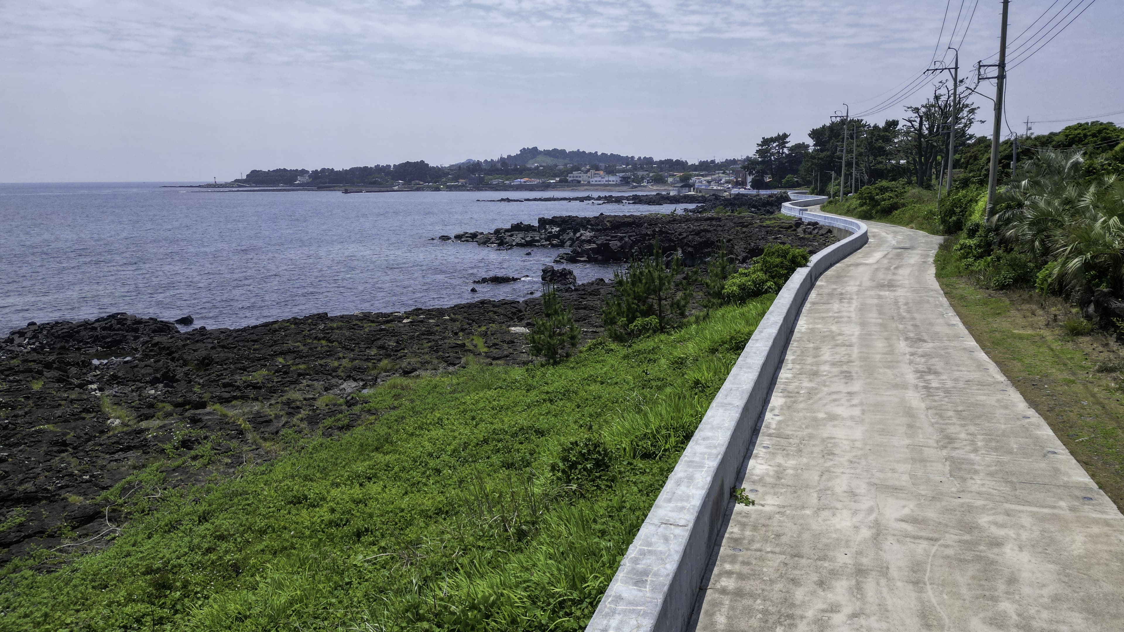90 min Jeju Fantasy Bicycle Path Ride