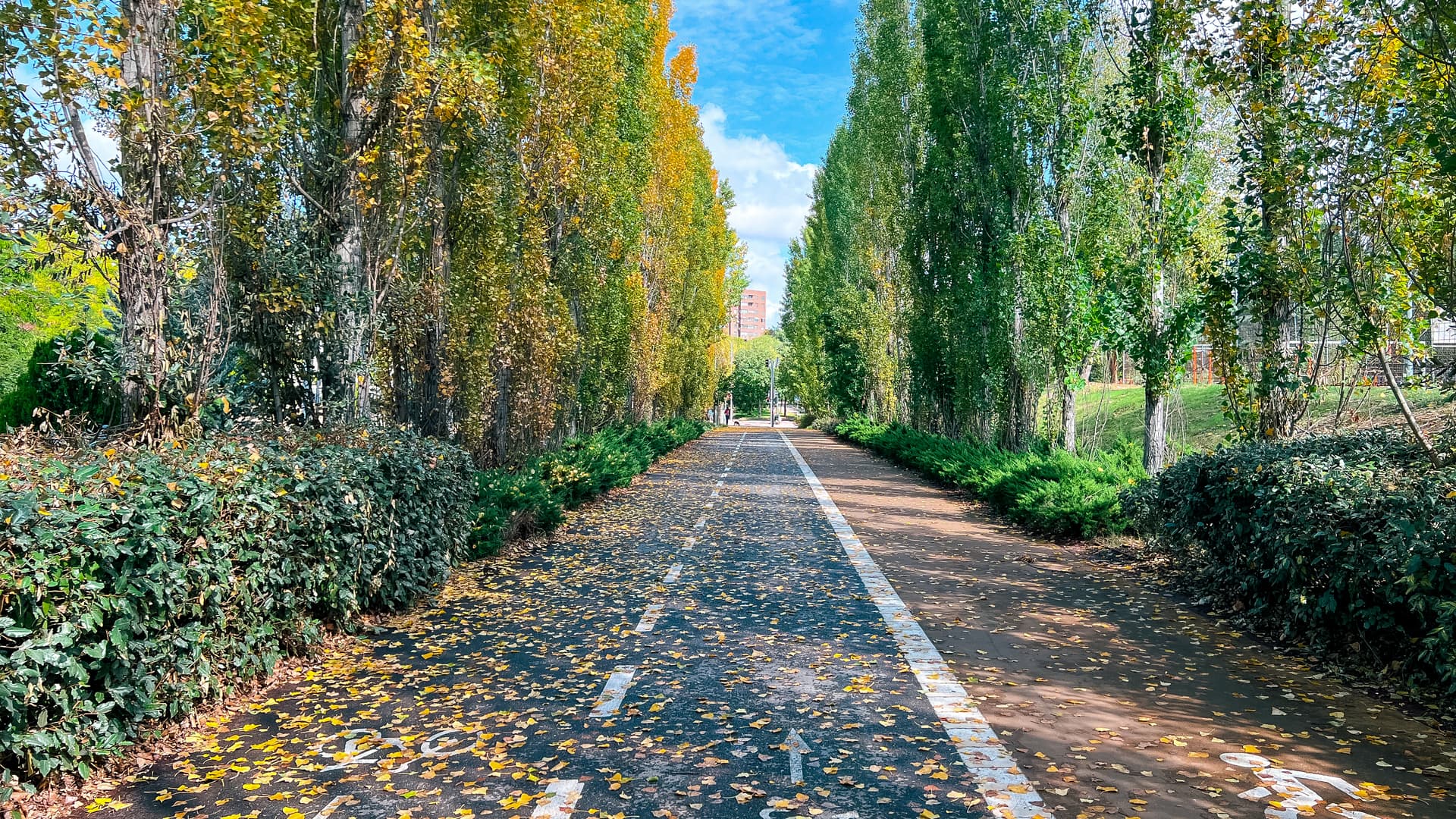 90 min Madrid Ride
