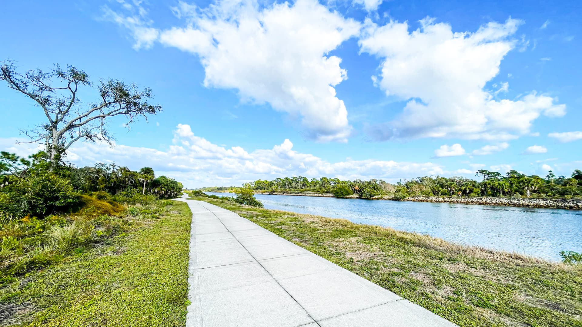 90 min Waterway Legacy Trails Ride