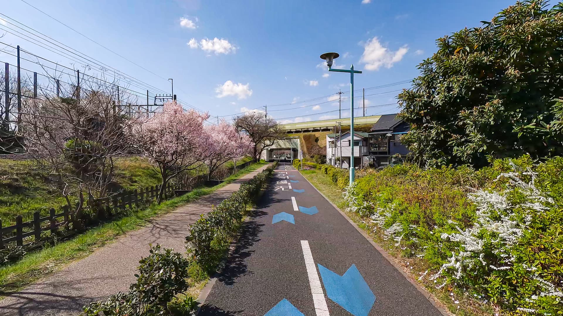 60 min Tokyo Tama Lake Ride