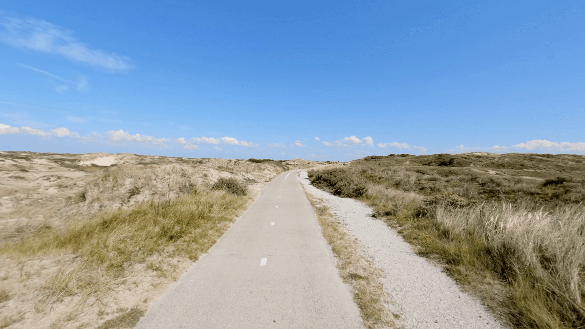 90 min Hoek van Holland Ride